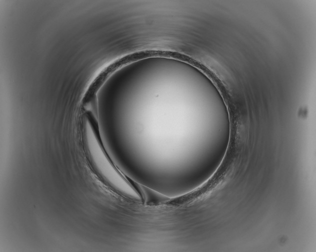 X0000097920926200803141438