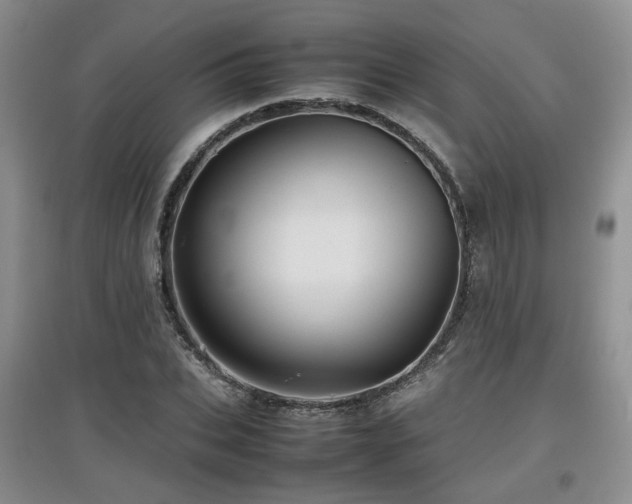X0000097920927200803141438