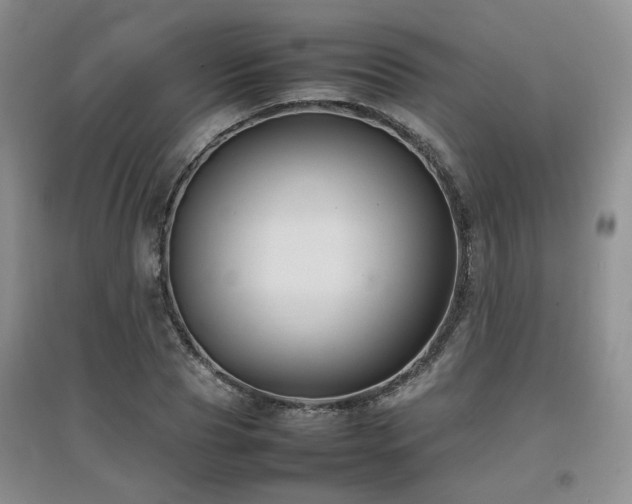 X0000097920929200803141438
