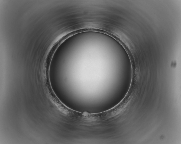 X0000097920931200803141438
