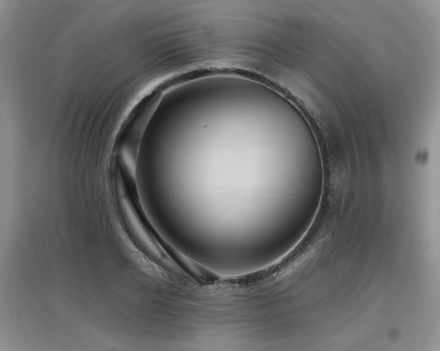 X0000097920934200803141438