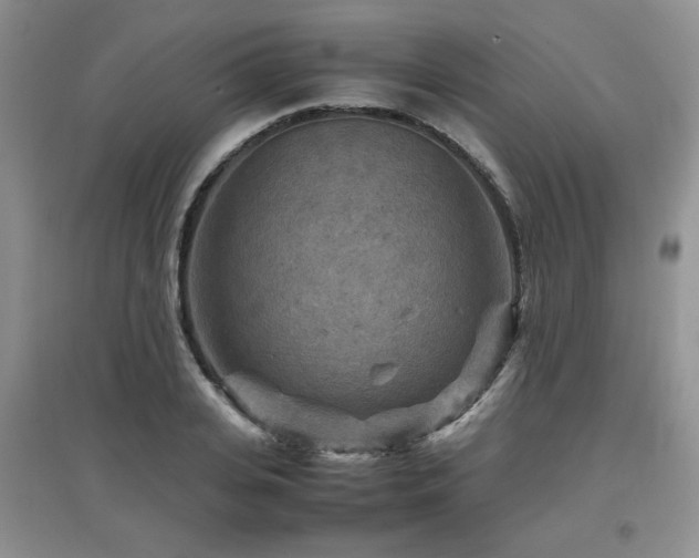 X0000097920935200803141438