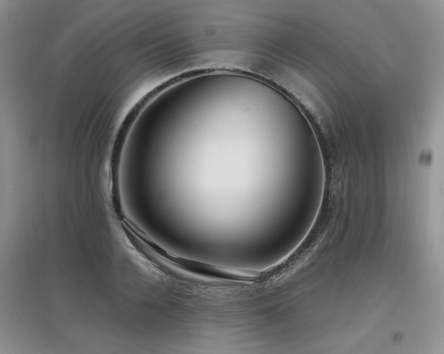 X0000097920936200803141438