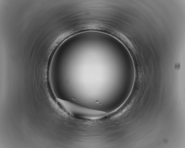 X0000097920938200803141438