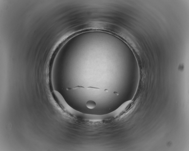 X0000097920939200803141438