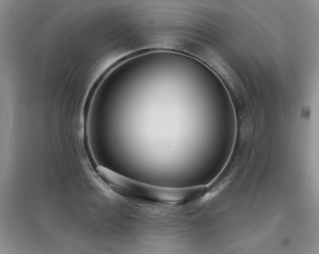 X0000097920940200803141438