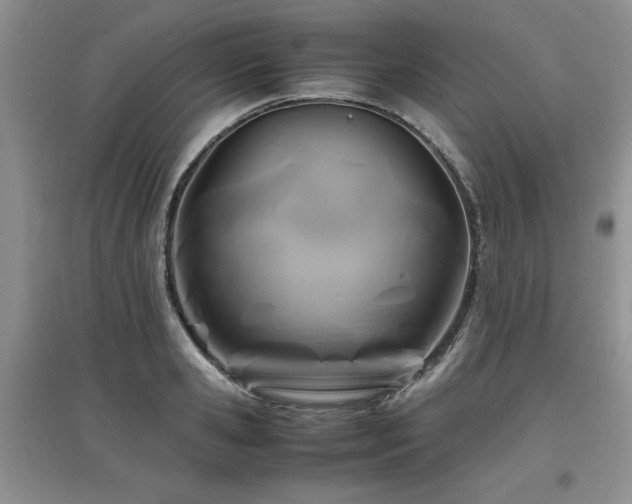 X0000097920941200803141438