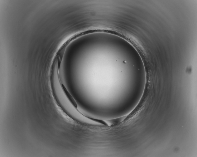 X0000097920942200803141438