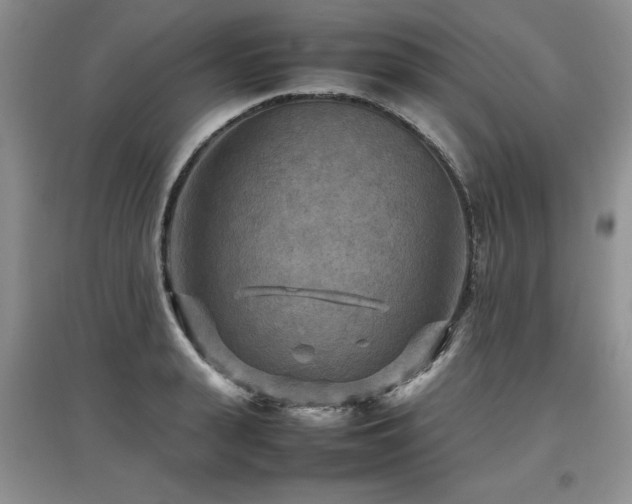 X0000097920943200803141438