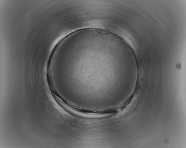 X0000097920944200803141438