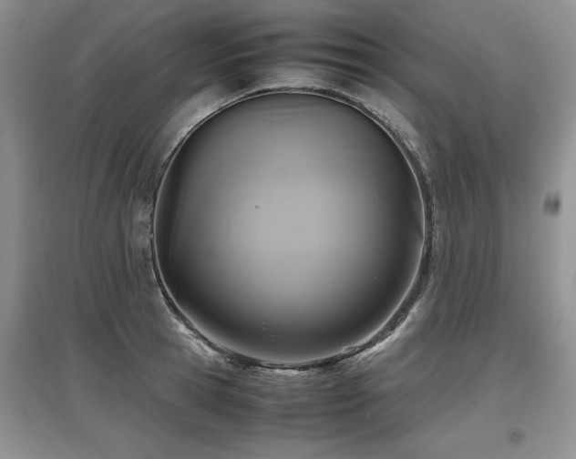 X0000097920945200803141438
