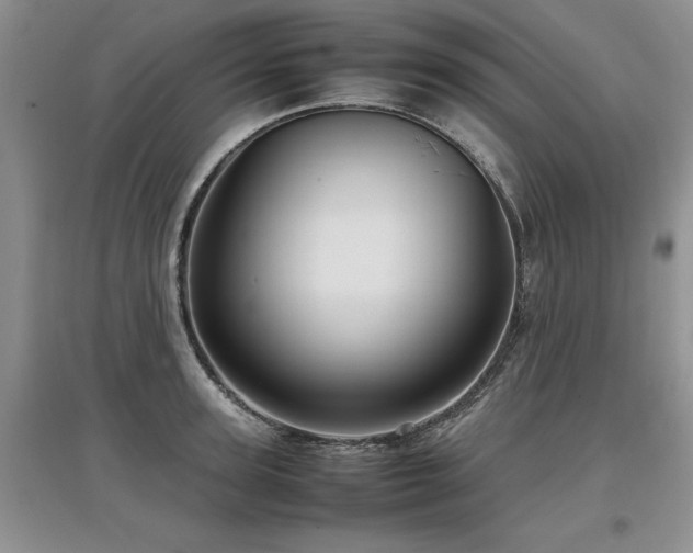 X0000097920947200803141438