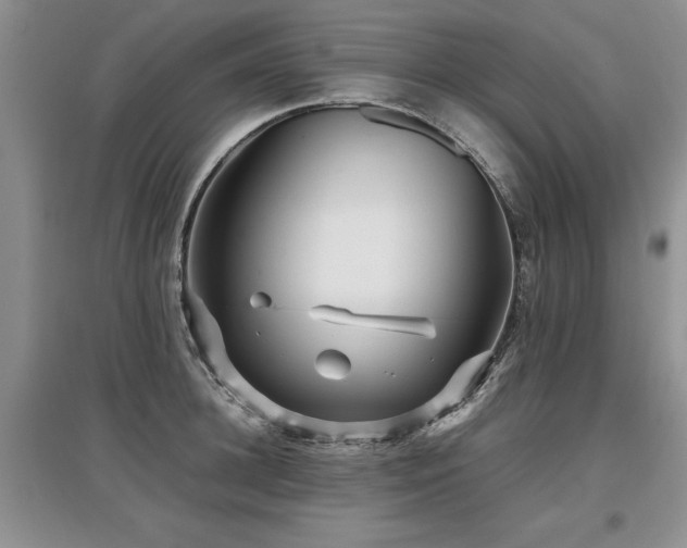X0000097920948200803141438