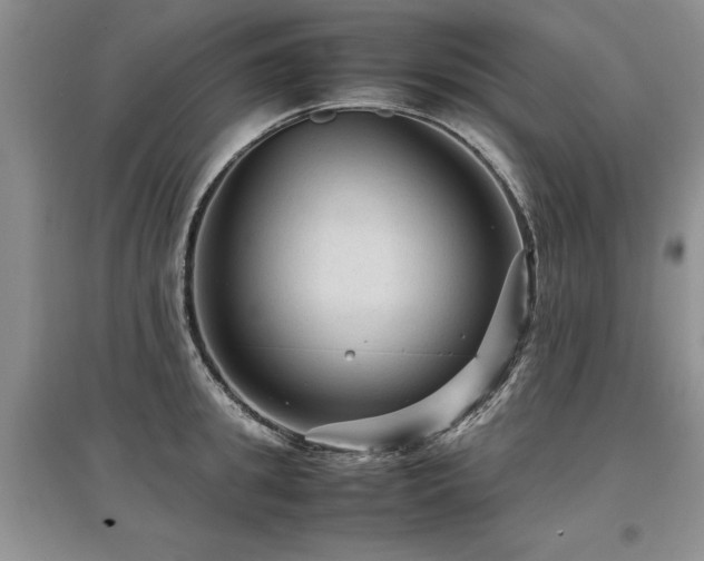 X0000097920949200803141438