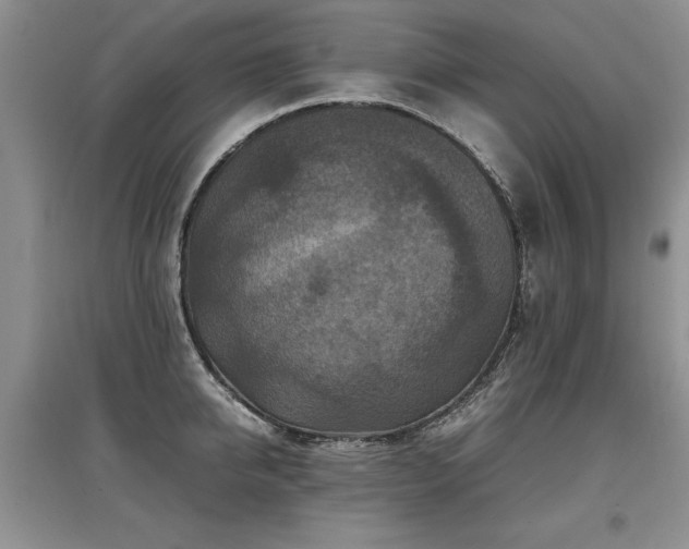 X0000097920950200803141438