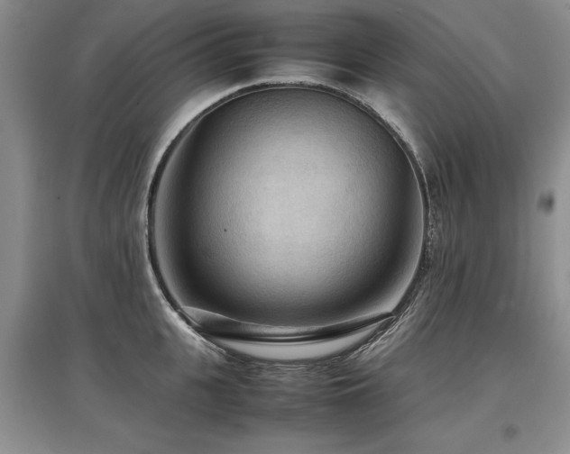 X0000097920951200803141438