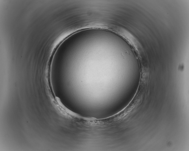 X0000097920952200803141438