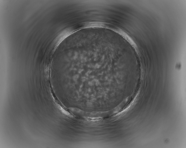 X0000097920953200803141438