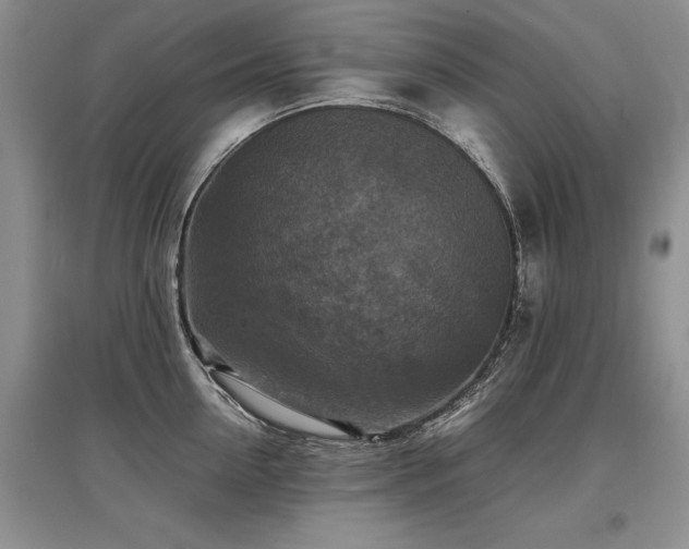 X0000097920954200803141438