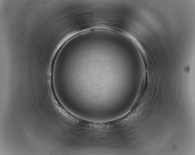 X0000097920955200803141438