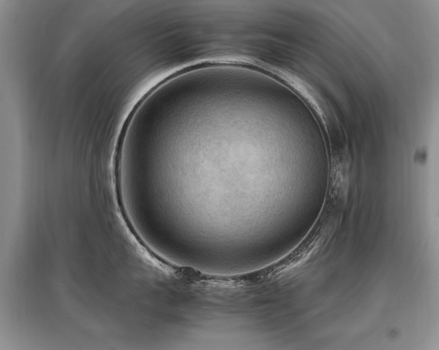 X0000097920959200803141438