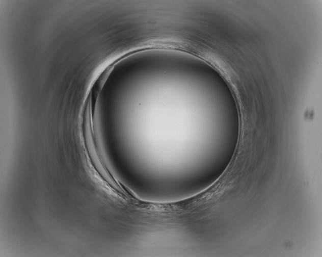 X0000097920960200803141438