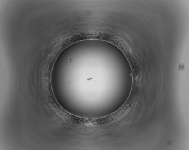 X0000097920961200803141437