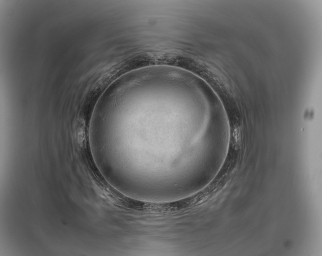 X0000097920963200803141437