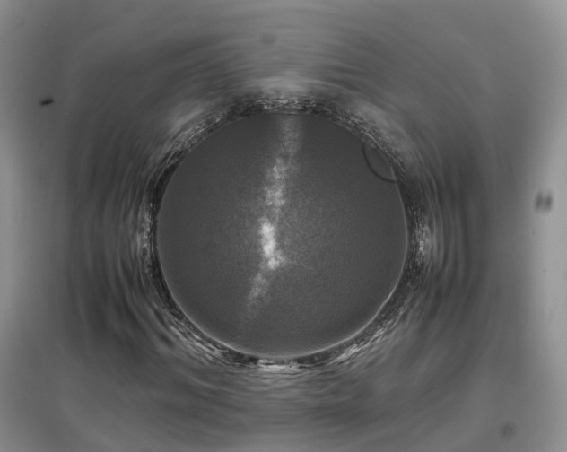 X0000097920964200803141437