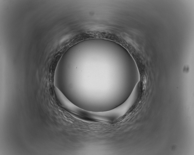X0000097920965200803141437
