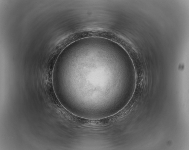 X0000097920966200803141437