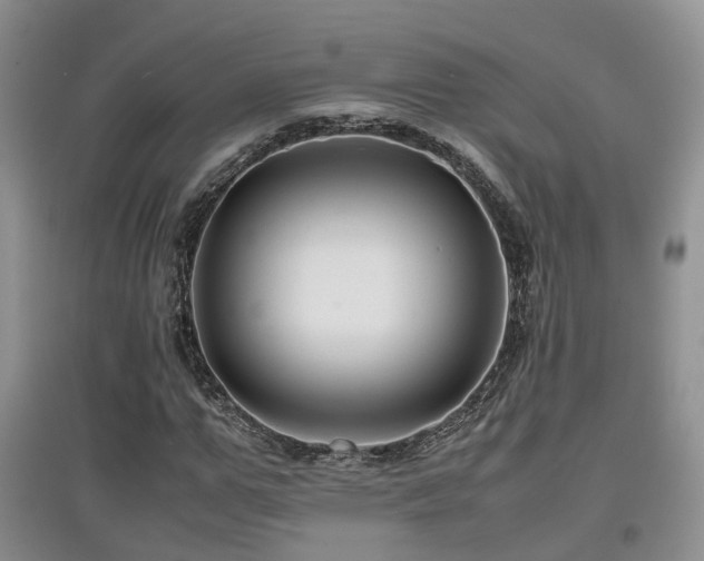 X0000097920967200803141437