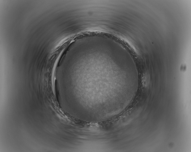 X0000097920968200803141437