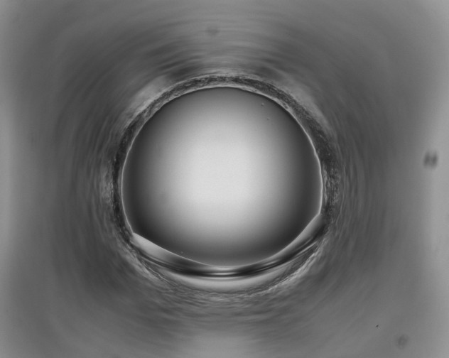 X0000097920969200803141437