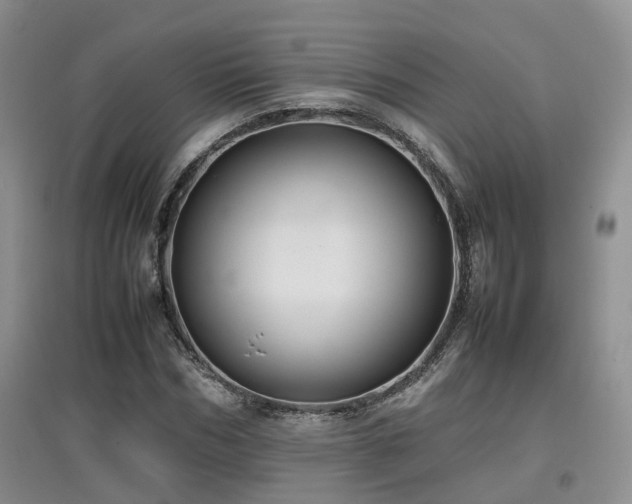 X0000097920970200803141437