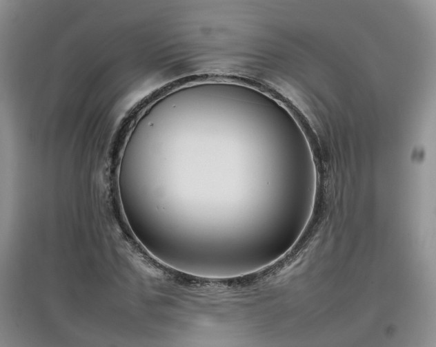 X0000097920971200803141437