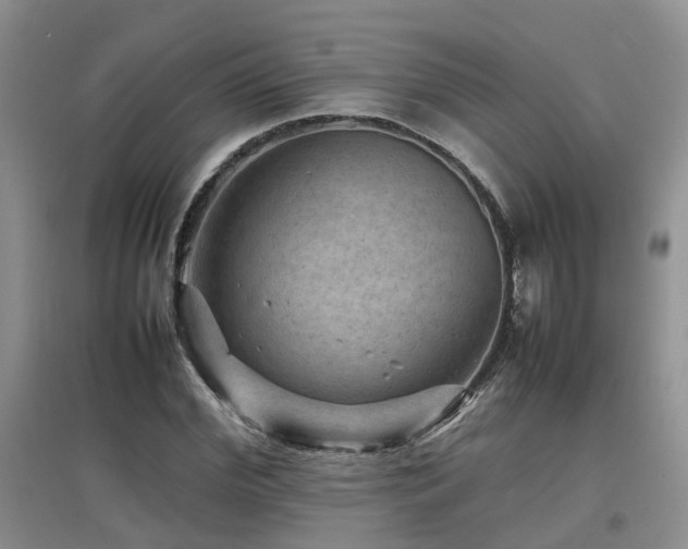 X0000097920972200803141437