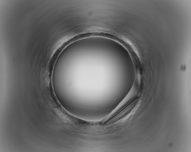 X0000097920973200803141437