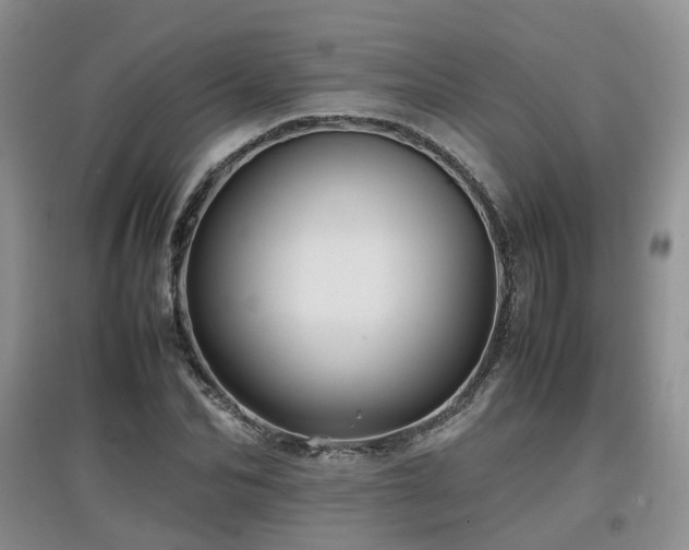 X0000097920974200803141437