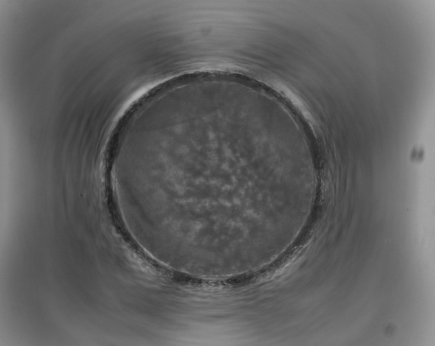 X0000097920975200803141437
