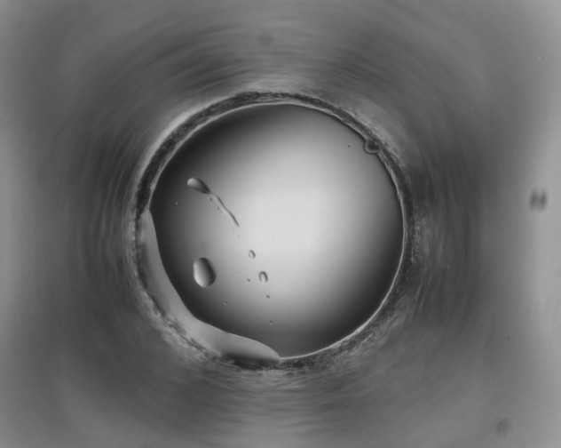 X0000097920976200803141437