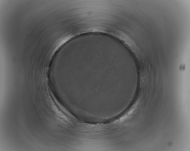 X0000097920977200803141437