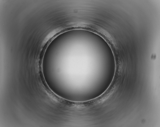 X0000097920978200803141437