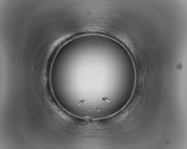 X0000097920979200803141437