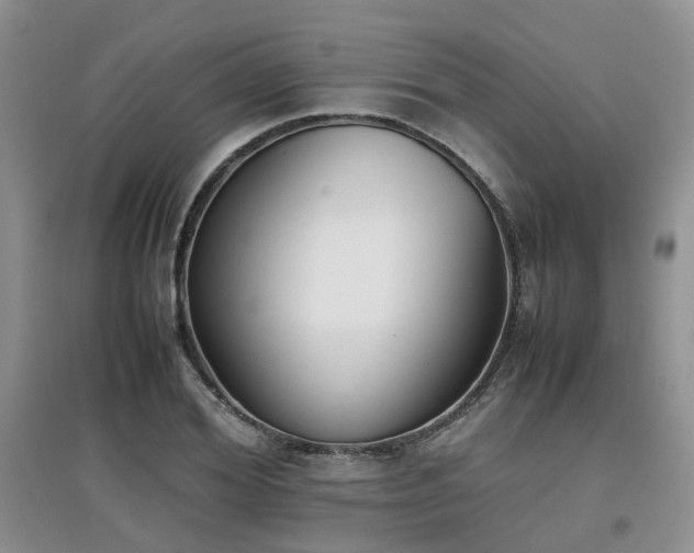 X0000097920980200803141437