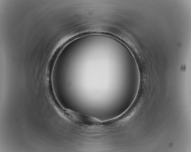 X0000097920981200803141437