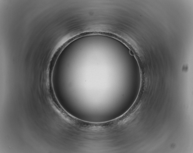 X0000097920982200803141437