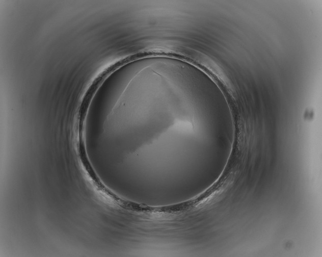 X0000097920984200803141437