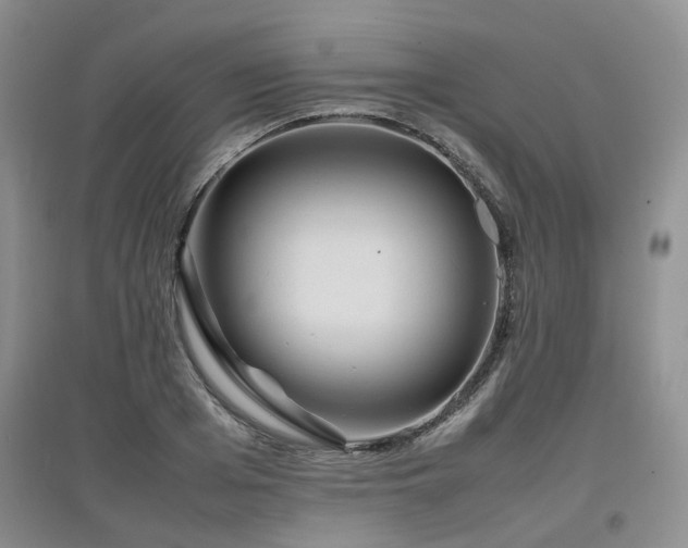X0000097920985200803141437