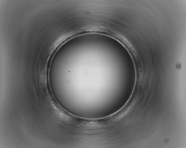 X0000097920986200803141437